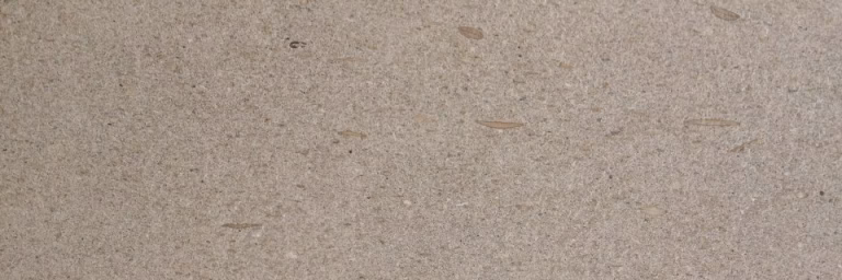 Naturali Arenaria Fossile